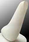 Brancusi Foca Brancusi Foca